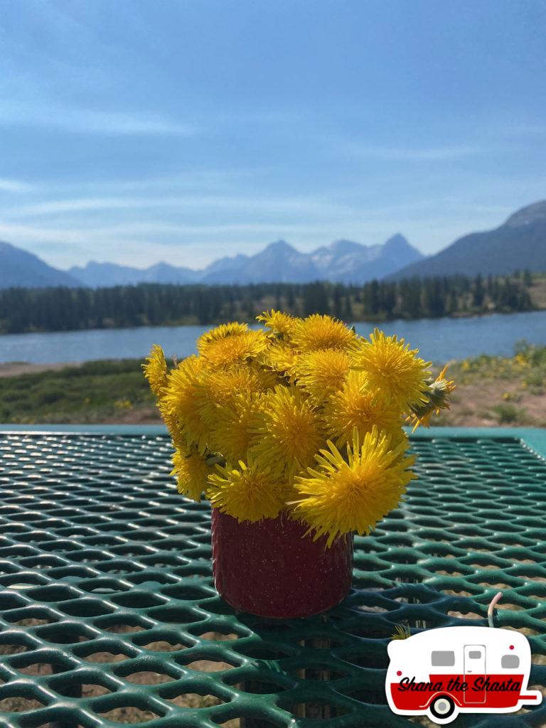 10-Scenic-Molas-Campground-Silverton-CO