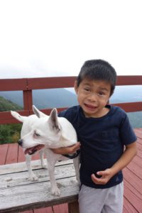fort mountain boy dog
