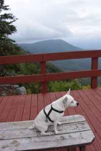 fort mountain lookout skylar