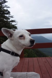 fort mountain lookout skylar couple