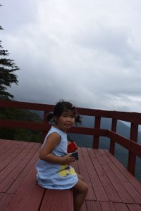 fort mountain lookout teagan