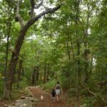 hike to fort mountain tower