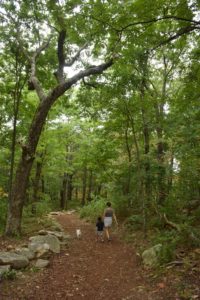 hike to fort mountain tower