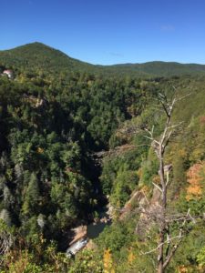 tallulah gorge couple