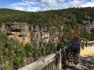 tallulah gorge rim overlook