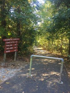 tallulah gorge trails