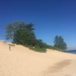 AnIndianaDuneOnLakeMichigan