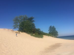 AnIndianaDuneOnLakeMichigan