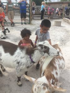 NoahsArkPettingZoo2