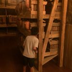 NoahsArkSnakeBoxes