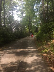 Shana Black Rock Mountain 7.1.2017 1 of 73 22