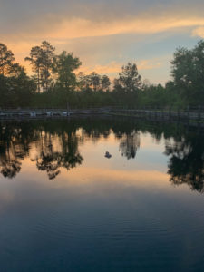 retro camper okefenokee swamp 101 of 116