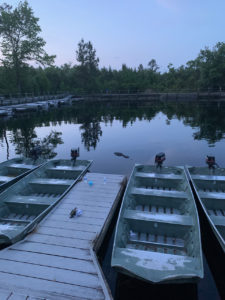 retro camper okefenokee swamp 105 of 116