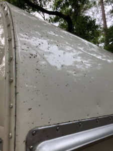 retro camper okefenokee swamp 27 of 116