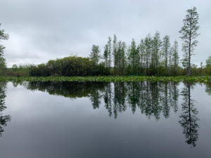 retro camper okefenokee swamp 38 of 116