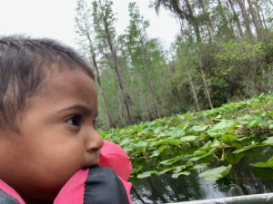 retro camper okefenokee swamp 43 of 116