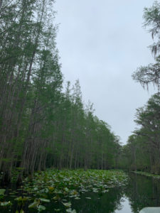 retro camper okefenokee swamp 48 of 116