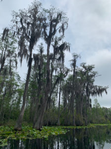 retro camper okefenokee swamp 59 of 116