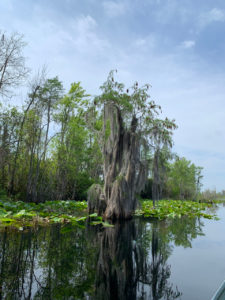 retro camper okefenokee swamp 76 of 116