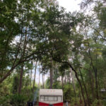 retro camper okefenokee swamp 93 of 116