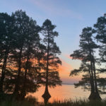 Reelfoot Lake State Park