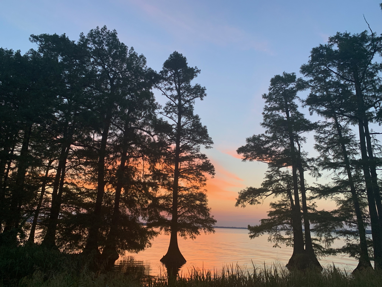 retro camper reelfoot lake state park 13 of 56