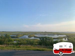 Assateague-Island-First-Impression