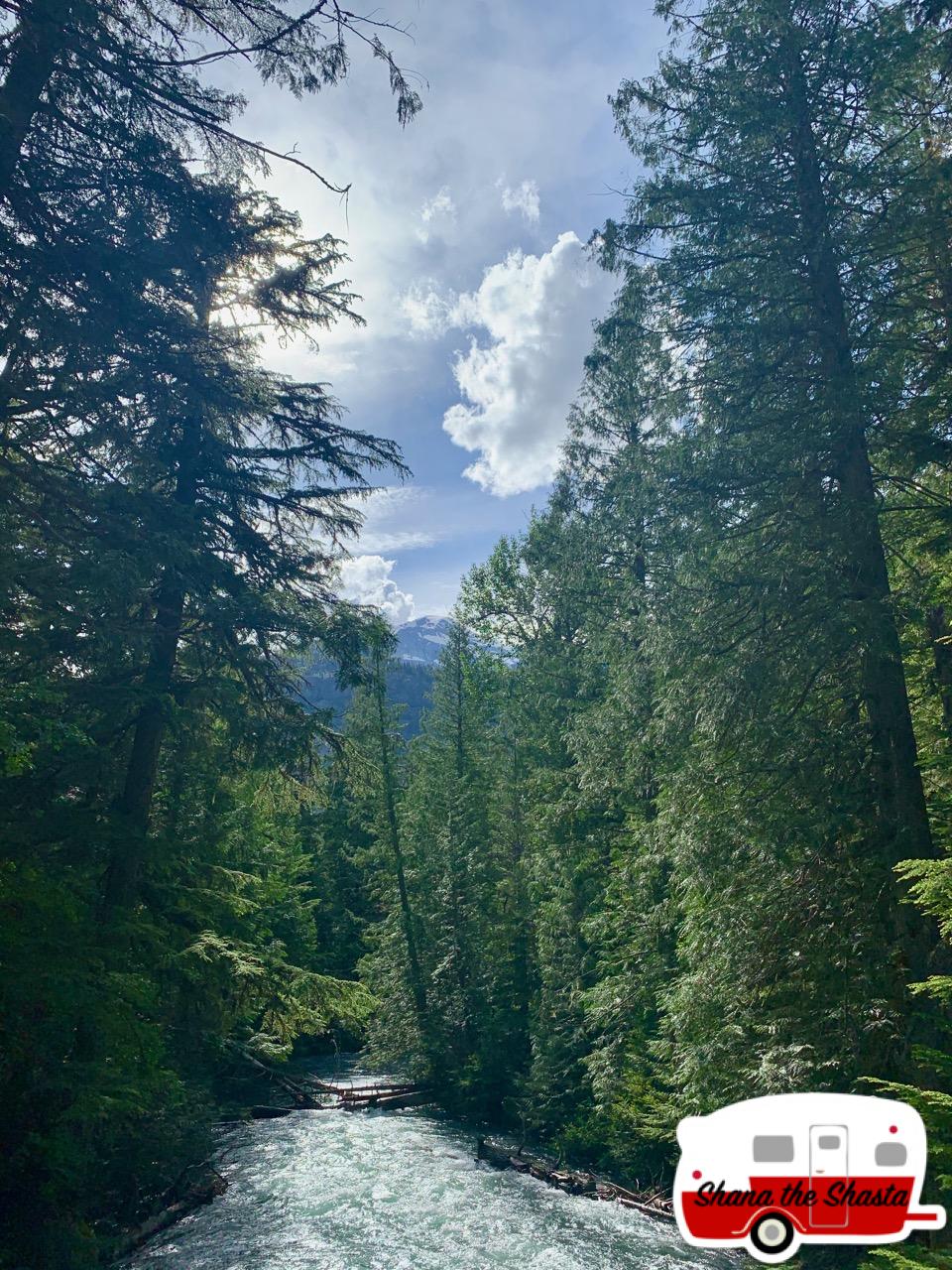 Avalanche-Creek-to-Avalanche-Lake