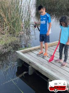 Baby-Gator-at-Fontainebleau