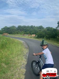Biking-through-Wild-Horses