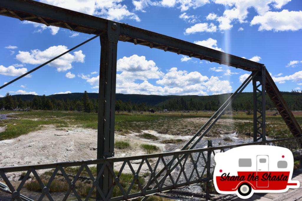 Bison-by-Bridge-to-Grand-Prismatic