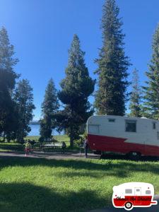 Bridge-Bay-G284-Campsite-in-Yellowstone