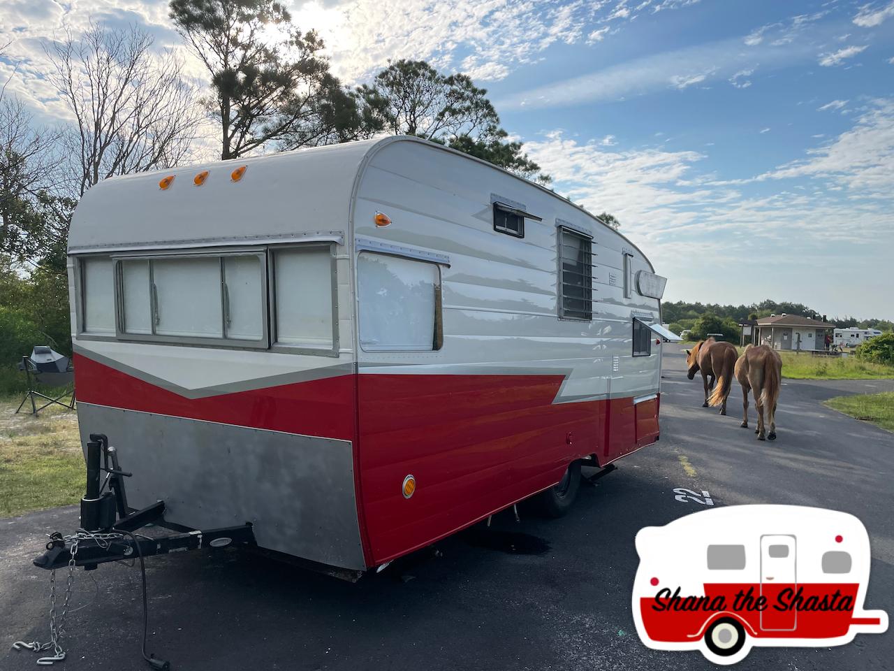 Campsite-22-at-Assateague