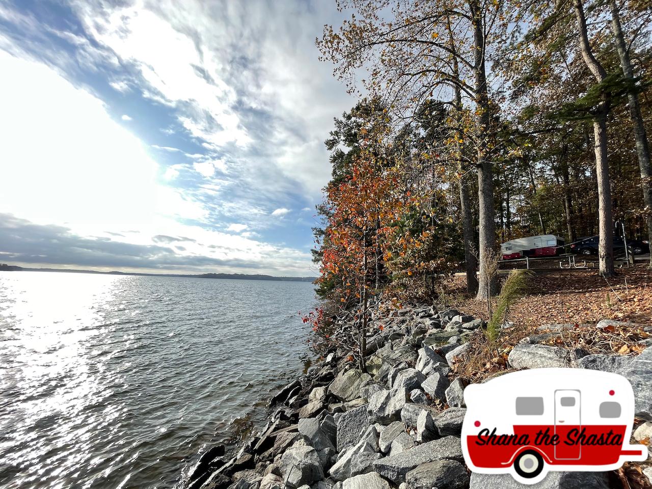 Campsite-84-Shady-Grove