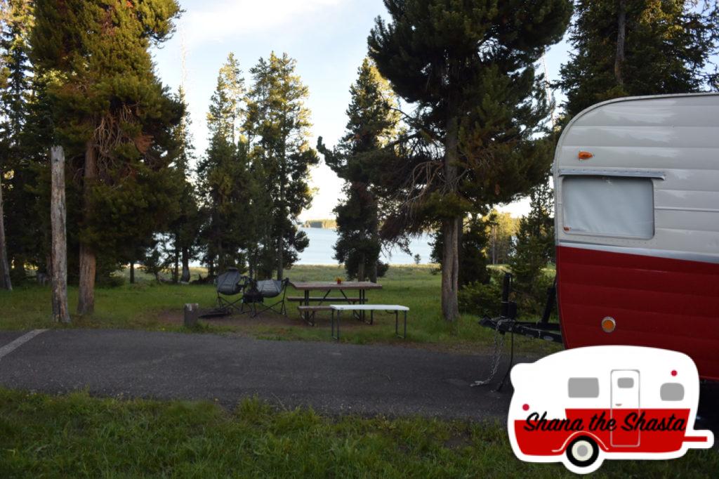 Campsite-G284-in-Bridge-Bay-Yellowstone