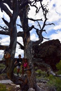 Craters-of-the-Moon-Deadwood