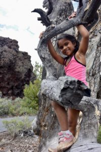 Craters-of-the-Moon-Tree-Climbing