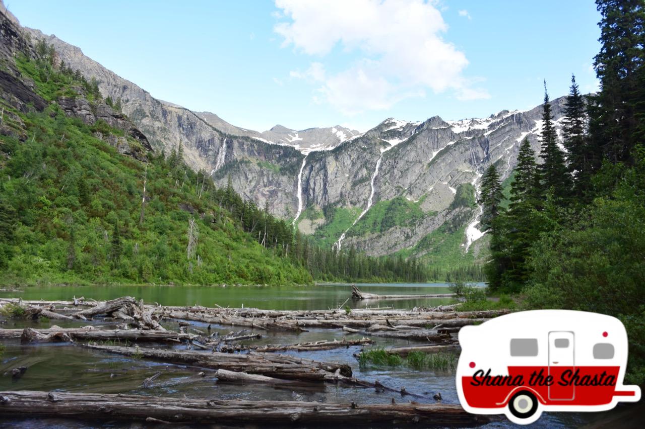 Deadwood-at-Avalance-Lake-in-Glacier