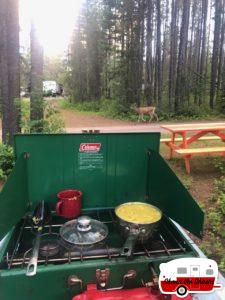 Deer-at-Dinner-in-Glacier