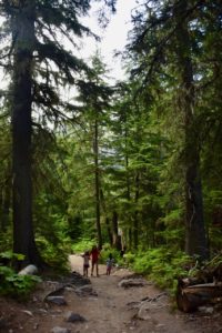 Easy-Hike-in-Glacier-National