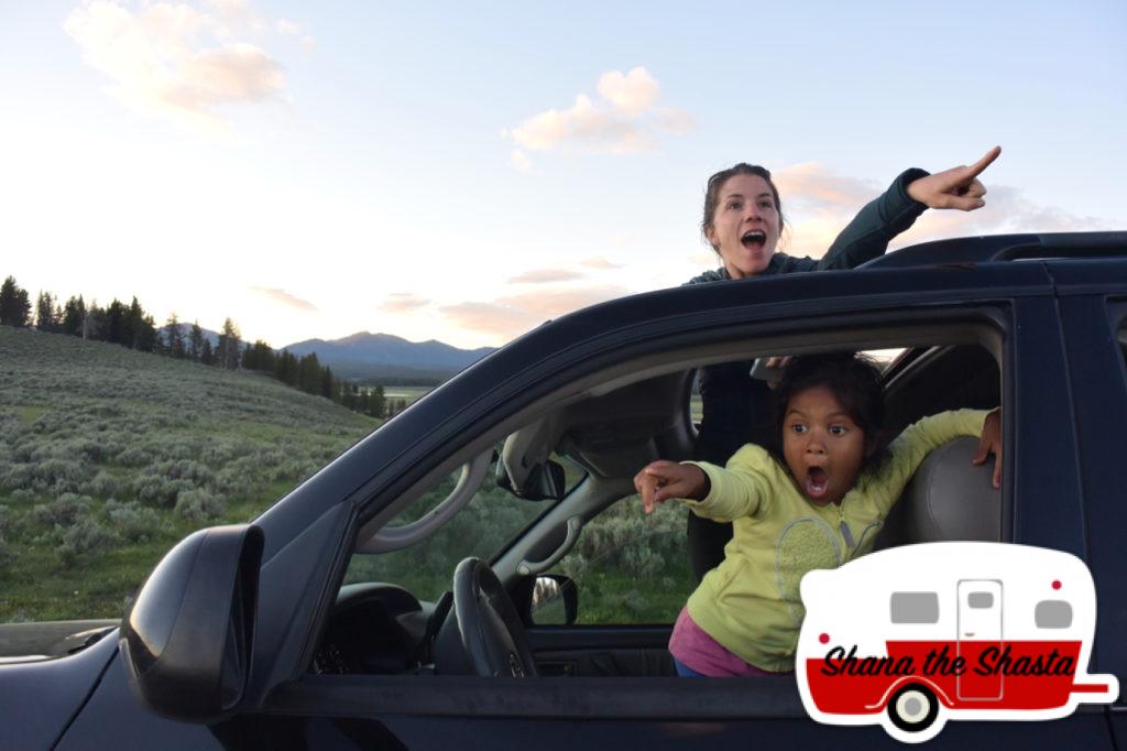 Excited-Wolf-Trackers-in-Yellowstone