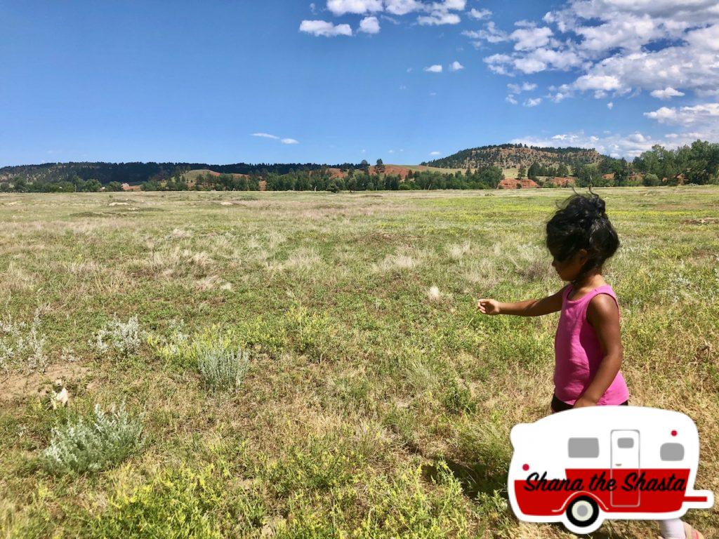 Feeding-Prairie-Dogs-near-Devils-Tower