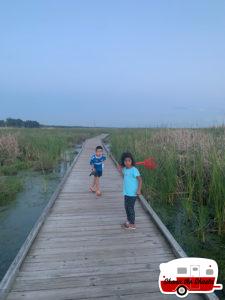 Gator-Boardwalk-at-Fontainebleau