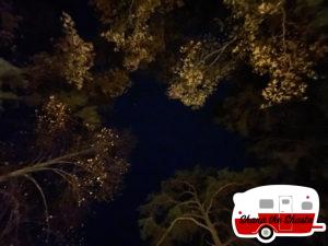 Georgia-Camping-Canopy