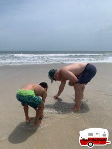 Hunting-Sand-Fiddler-Mole-Crabs