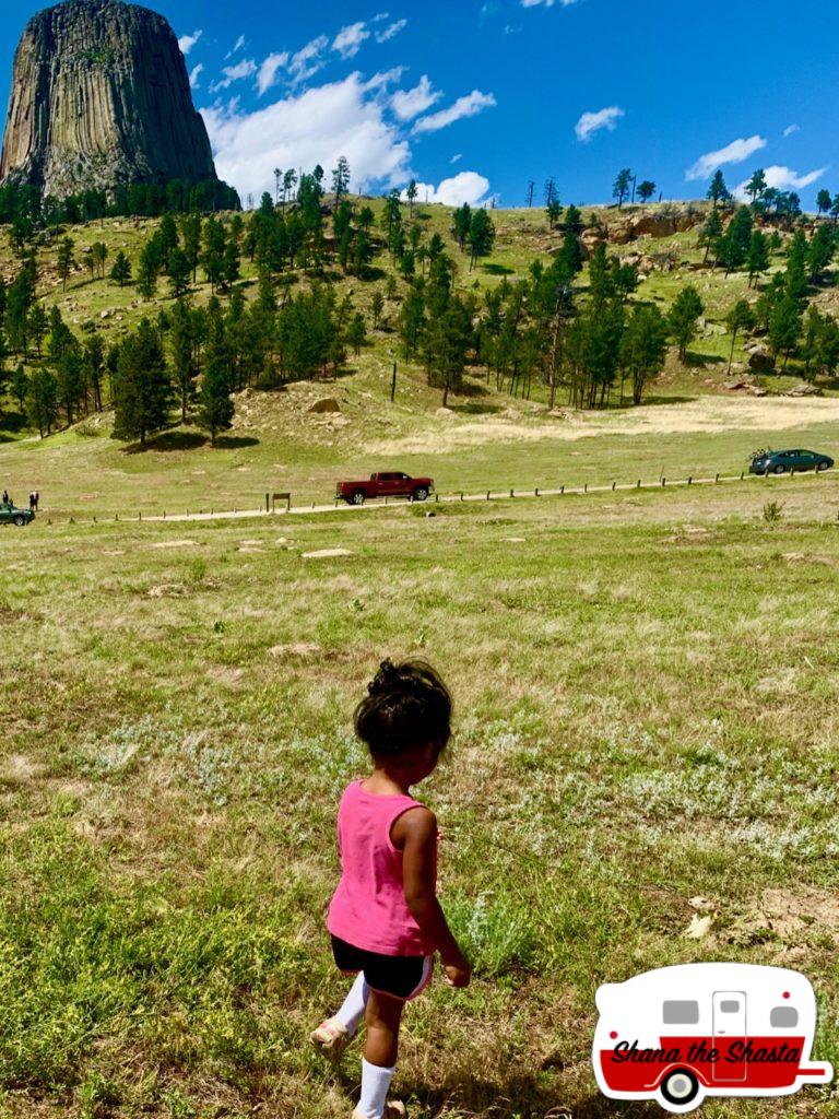 Prairie-Dog-at-Base-of-Devils-Tower
