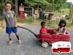 Radio-Flyer-at-Arrowhead-Bike-Farm