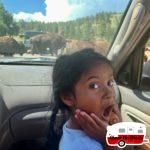 Blue Bell at Custer State Park with Devil's Tower, Mt. Rushmore and Crazy Horse