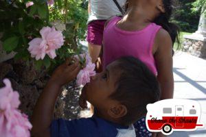 Smell-the-Roses-Manito-Park-Spokane