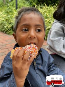 Sprinkled-Dunkin-Donut